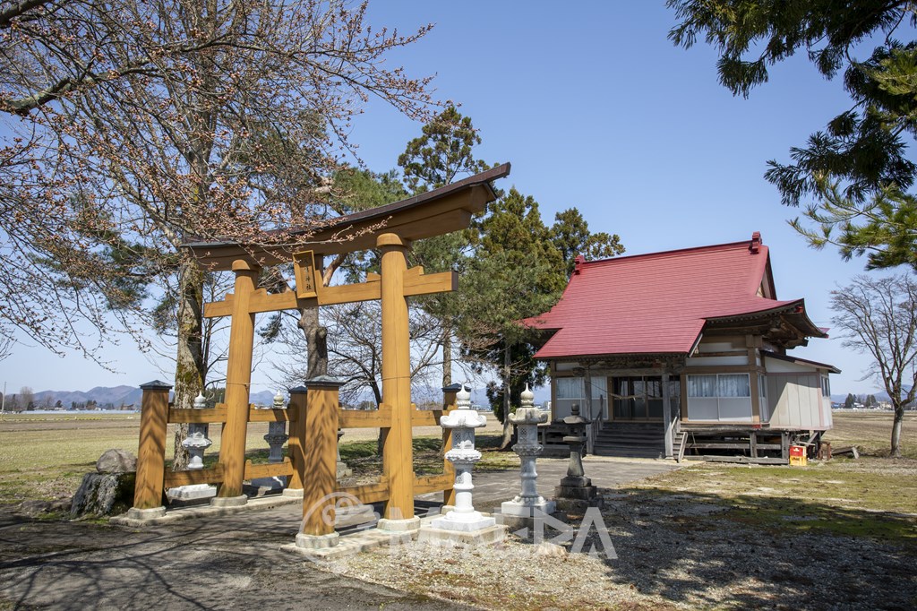 八幡神社（横沢）