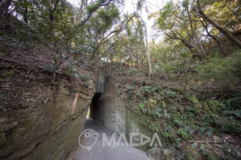 東善寺燈籠坂大師の切通しトンネル