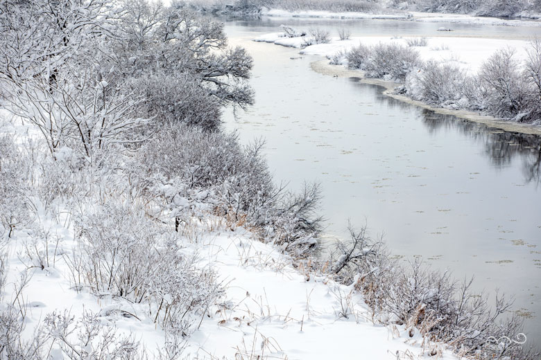 冬の雄物川