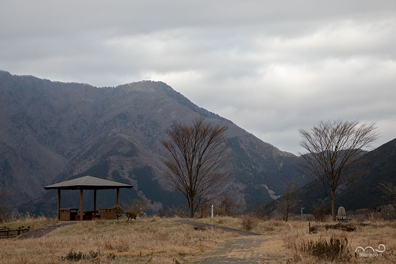 富士ケ嶺公園