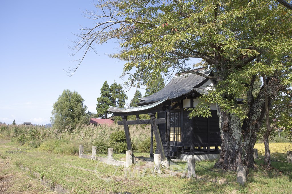 高卯神社