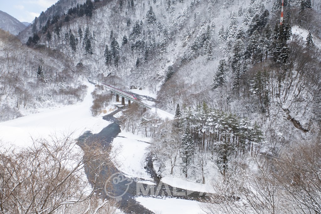 大雪の中走行する秋田新幹線