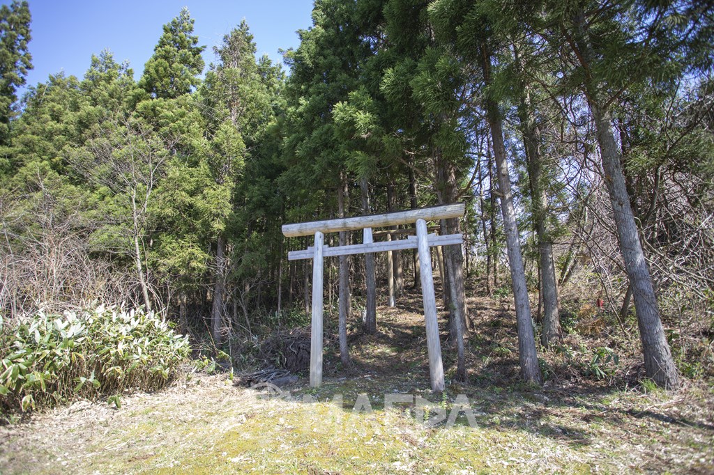 小杉山太平山三吉神社