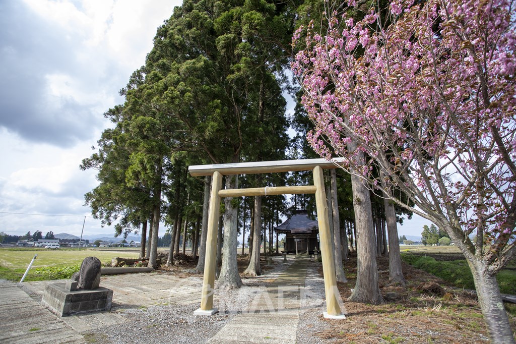 熊野神社（北長野）