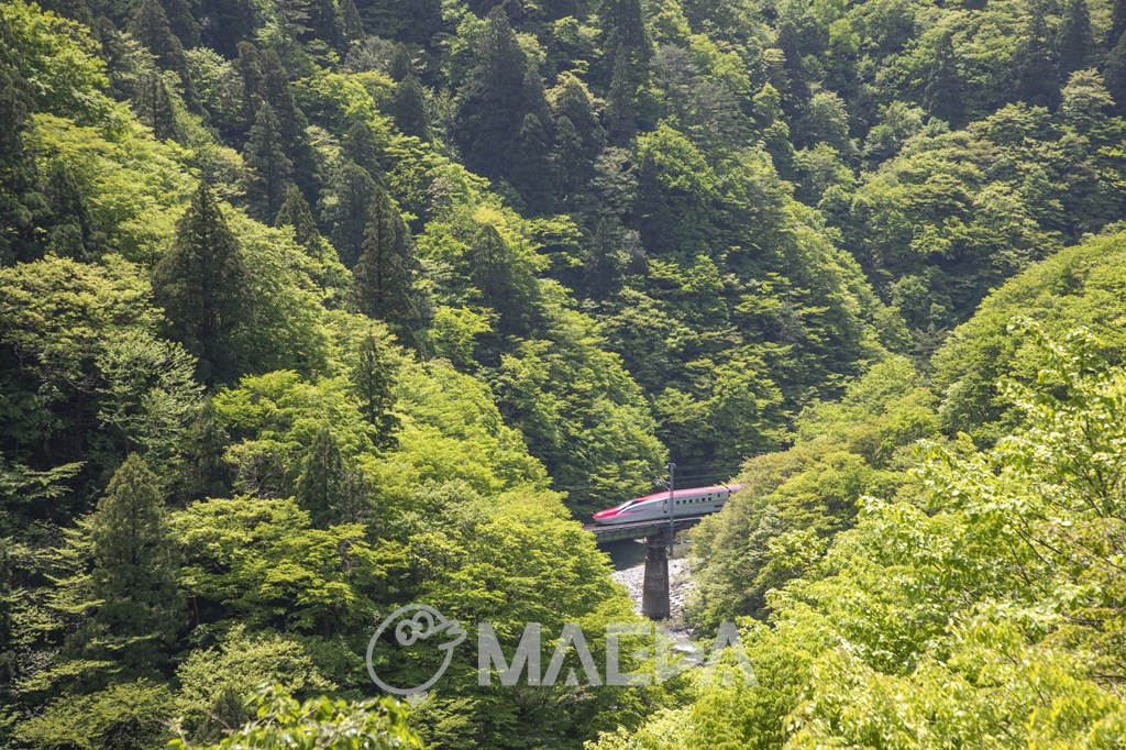 仙岩峠を走行する秋田新幹線