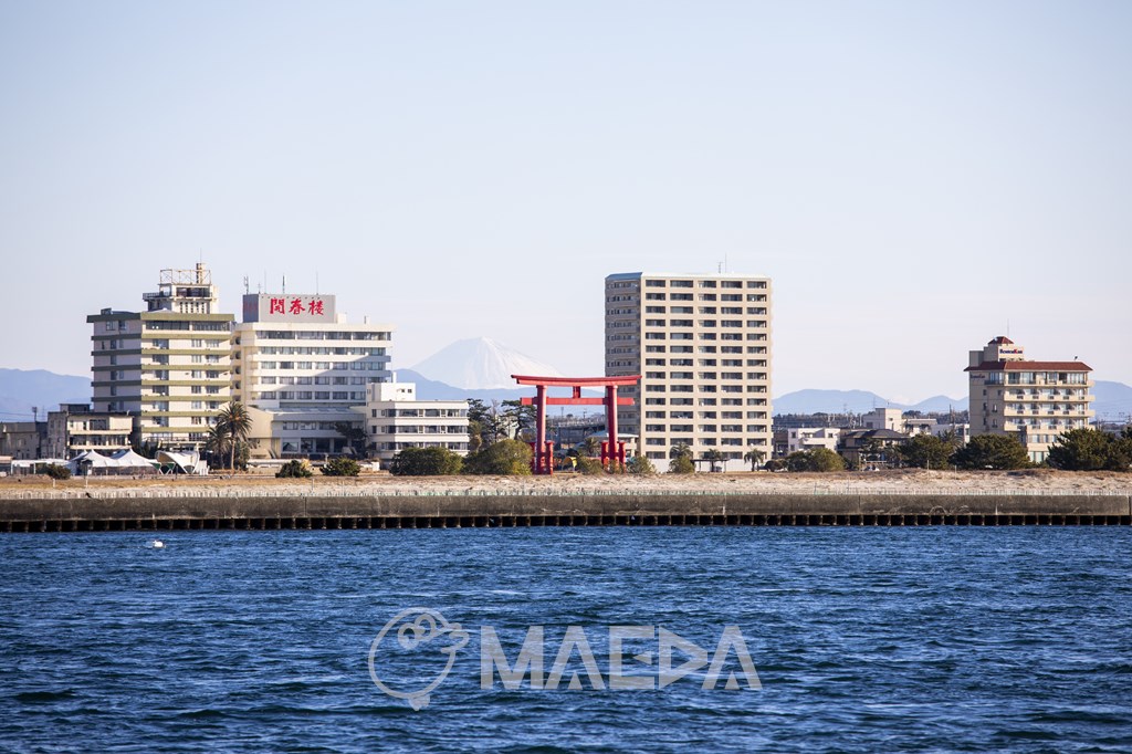 浜名湖と赤鳥居、富士山