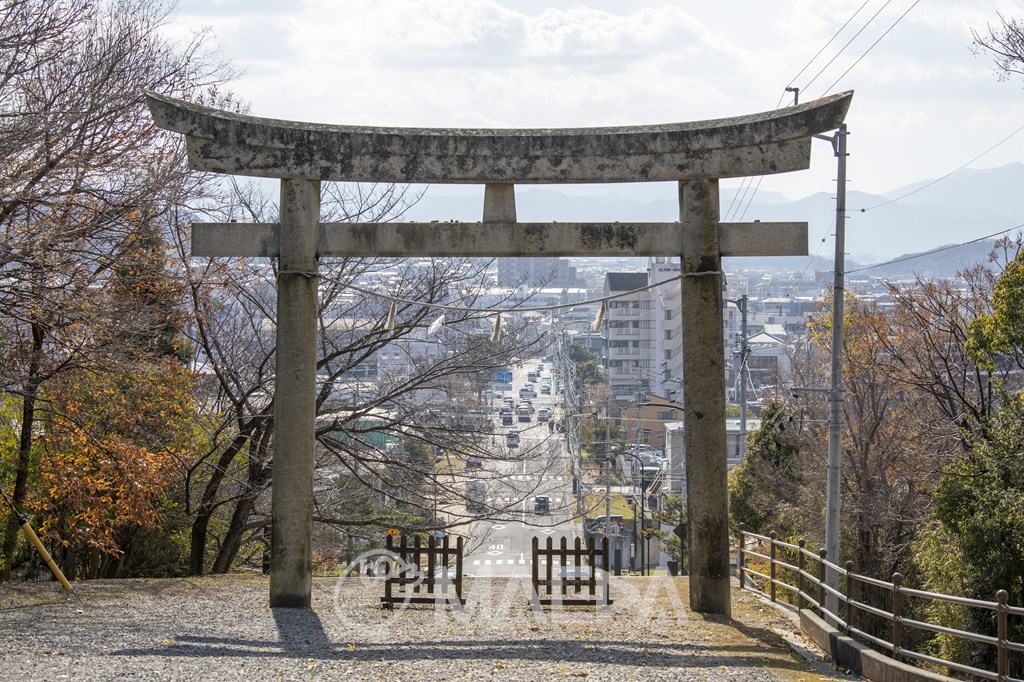屋島神社から眺める高松市街