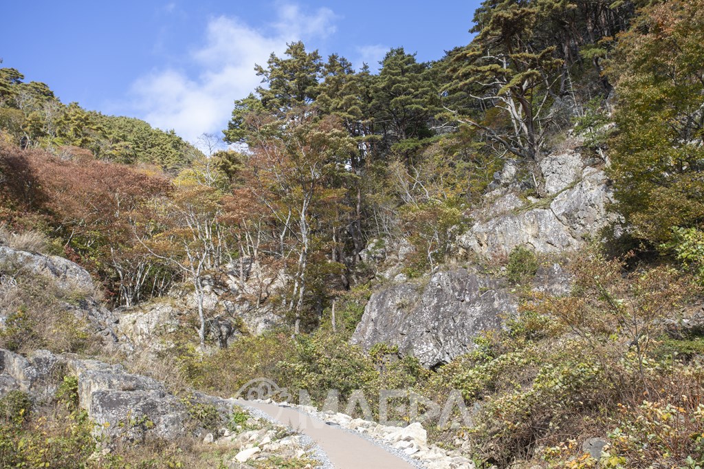 魹ヶ埼灯台への自然歩道