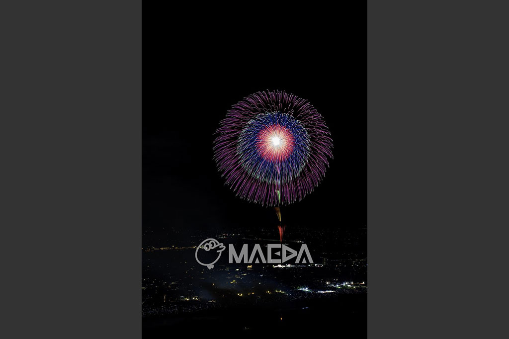 5昇曲導付五重芯変化菊-大曲の花火 第97回全国花火競技大会