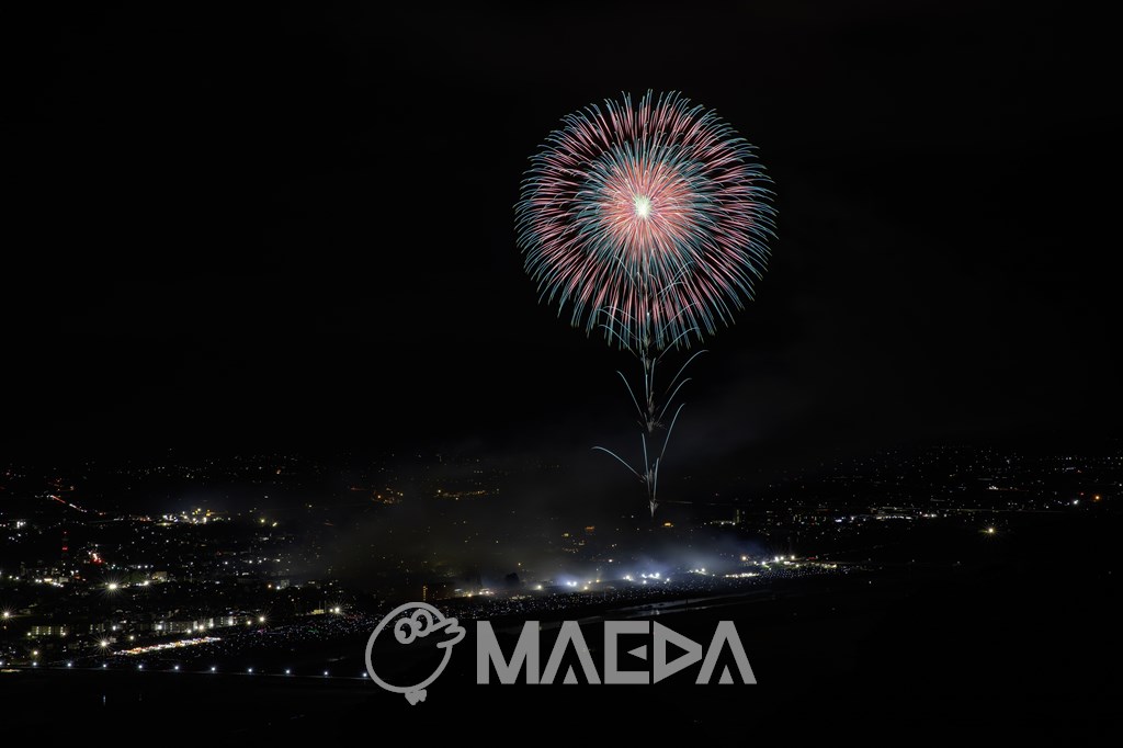 24昇曲導付四重芯変化菊-大曲の花火 第97回全国花火競技大会