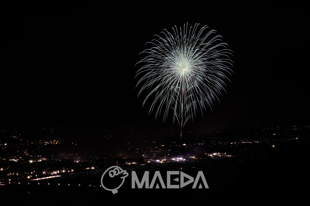 25八重咲蒼の華-大曲の花火 第97回全国花火競技大会